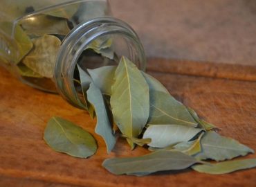 Usos y beneficios del laurel más allá de nuestra cocina