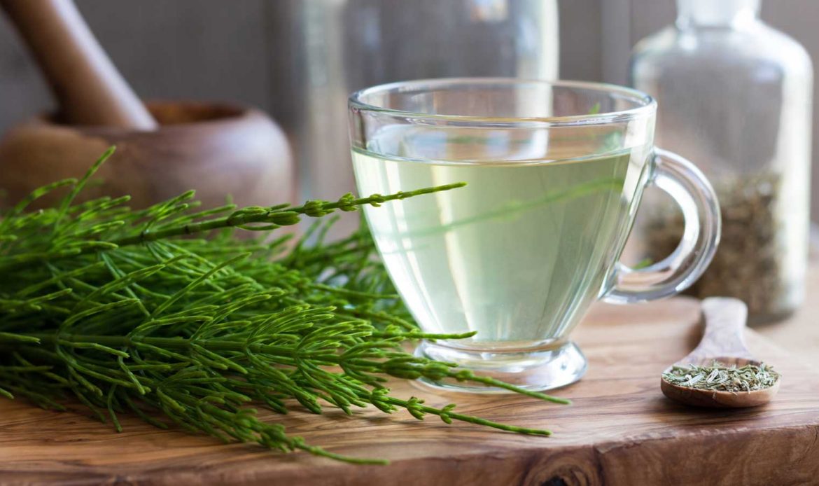 Té de cola de caballo para limpiar la vejiga y evitar infecciones