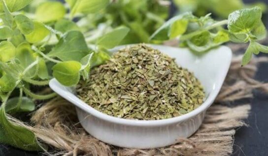Té de orégano para bajar de peso en pocos días