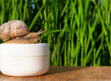 Baba de caracol para mantenerte joven