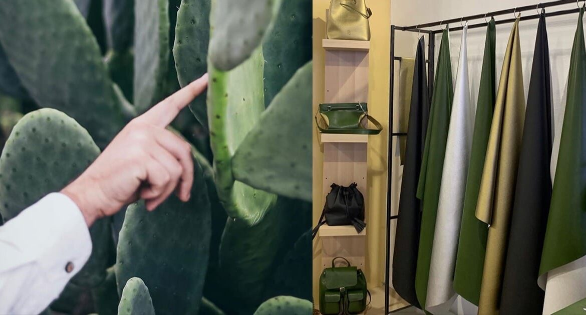 DESSERTO: Una alternativa ecológica para la moda basada en nopal