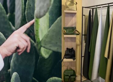 DESSERTO: Una alternativa ecológica para la moda basada en nopal
