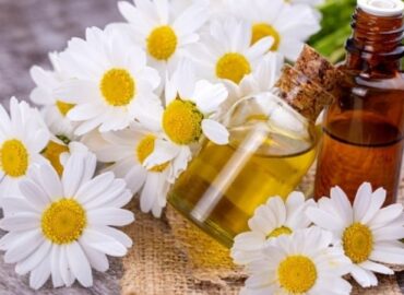 ¿Cuáles son los beneficios del aceite de manzanilla?; estos son sus usos en la medicina tradicional