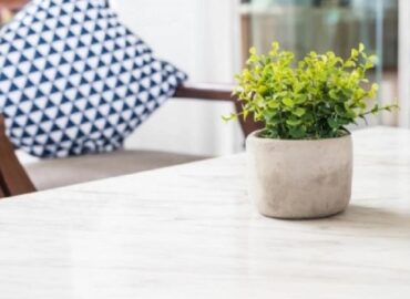 Decoración de interiores: 4 plantas pequeñas para poner como centro de mesa en el comedor