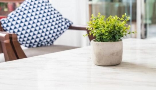 Decoración de interiores: 4 plantas pequeñas para poner como centro de mesa en el comedor