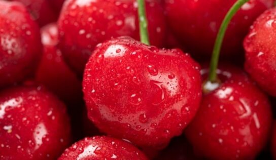 ¡Evita enfermedades! 3 alimentos que pueden ayudar a limpiar las vías respiratorias