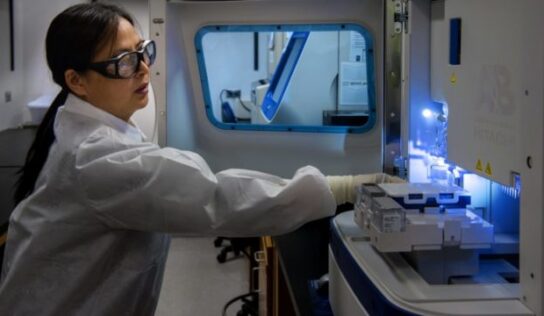 Nunca nadie me dijo que no podía: Inés Jiménez, fundadora de InMateriis
