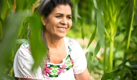 ¿Qué es el ecofeminismo y por qué reconocer su lucha?